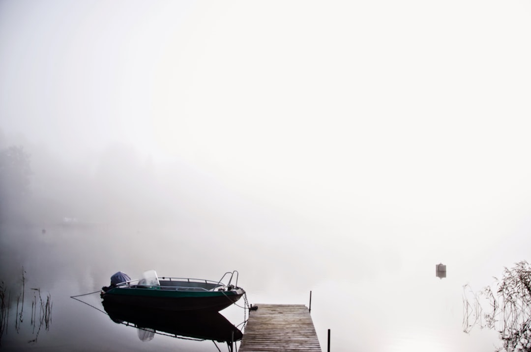 Parkura Kaçak Giren Kuzu, Triatlon Yarışına Renk Kattı