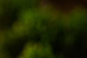 Süper Lig'de 21. Haftanın Hakemleri Belli Oldu