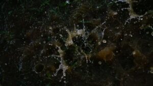 Serra Arıtürk'ün "Melankoli" yorumu merak uyandırıyor