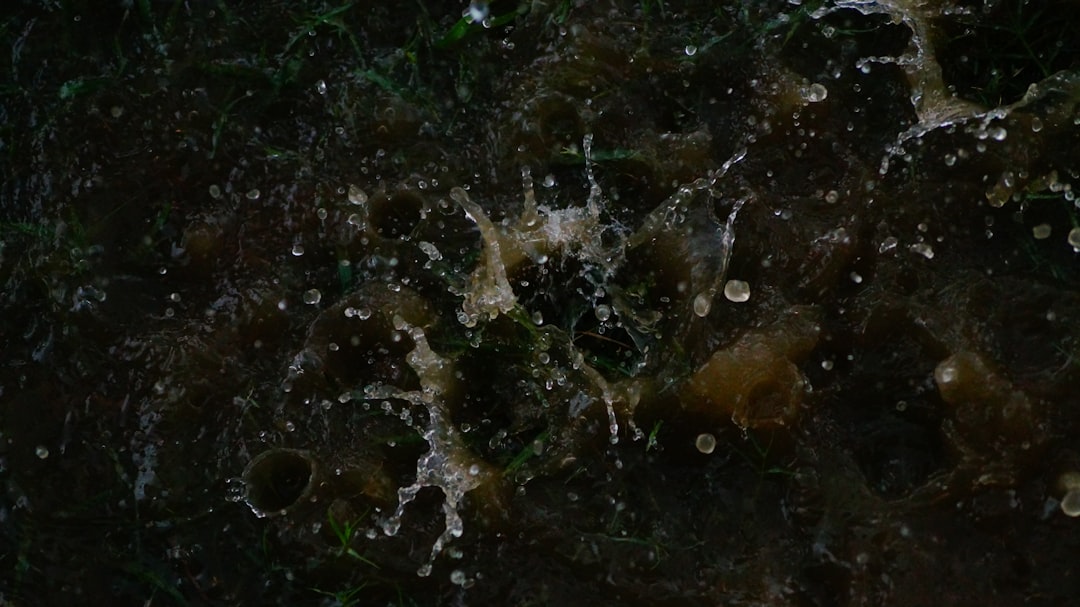 Serra Arıtürk'ün "Melankoli" yorumu merak uyandırıyor