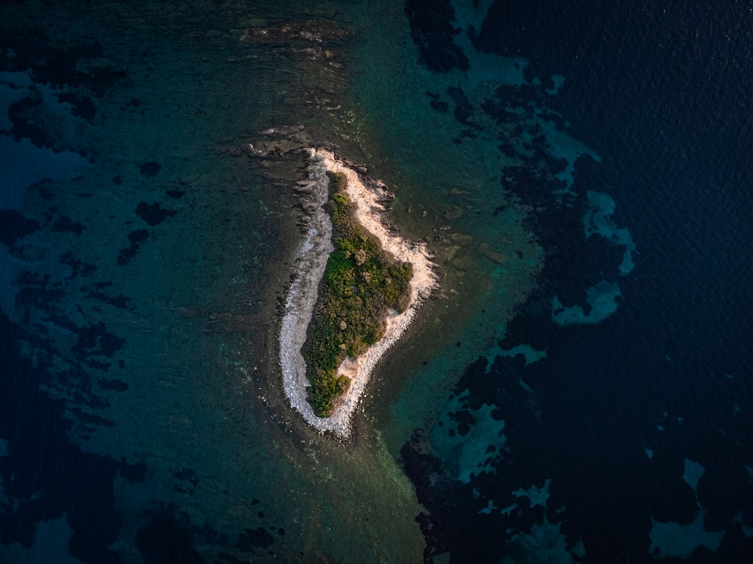 Survivor'da Eleme Adayı Belli Oluyor
