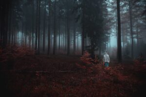 Survivor'da İletişim Oyunu için Takım Hangi Ödülü Kazandı?