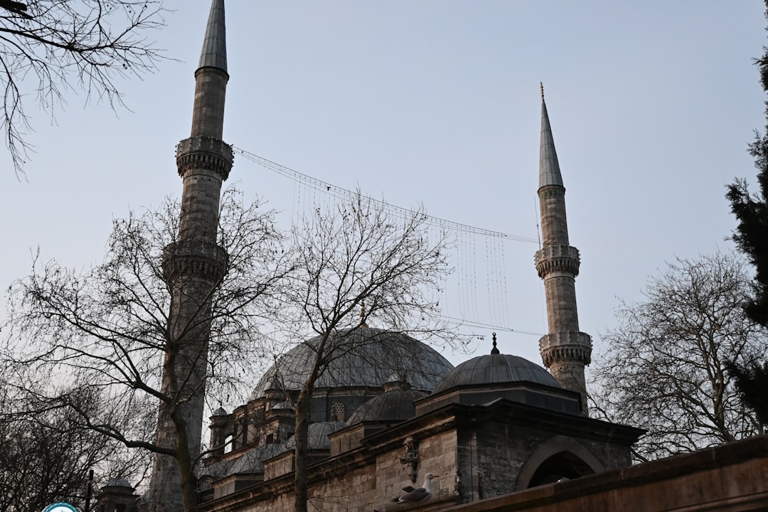 Türkiye Yüzyılı Maarif Modeli'yle Dil ve Düşüncede Derinleşme Kongre