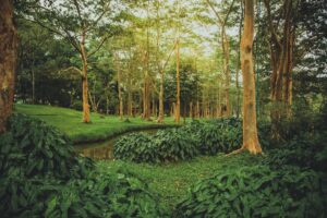 Tarım ve Orman Bakanlığı Gıda İşletmelerini Denetledi