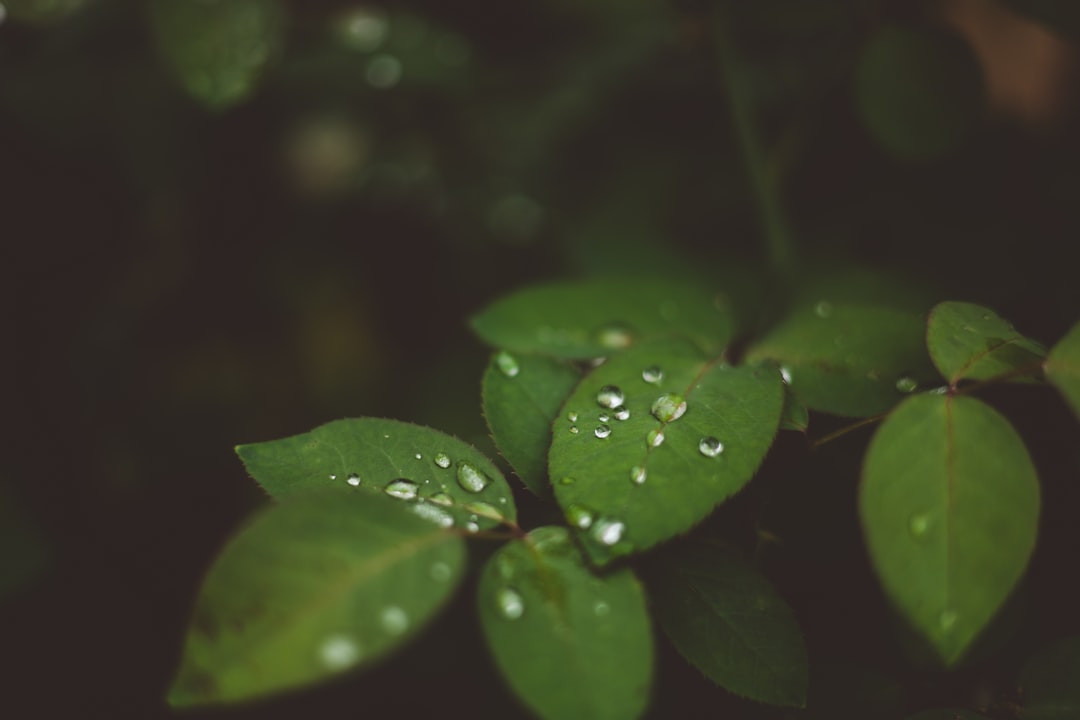 TOKİ Diyarbakır Kura Çekimi: 12 Bin 165 Konut için Hangi Adaylar Kab