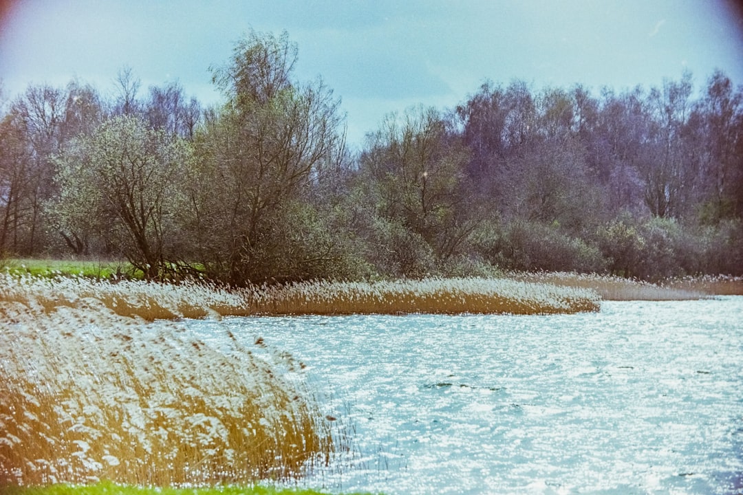Tunca Nehri'nde Debinin Yükselmesi Nedeniyle Uyarı Seviyesi "Kırmızı