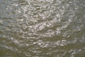 Tunca Nehri Sarayiçi'nde Kısıtlı Taşıyor