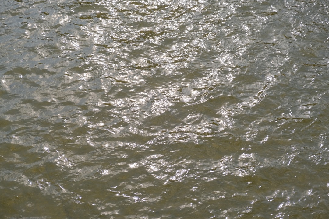 Tunca Nehri Sarayiçi'nde Kısıtlı Taşıyor