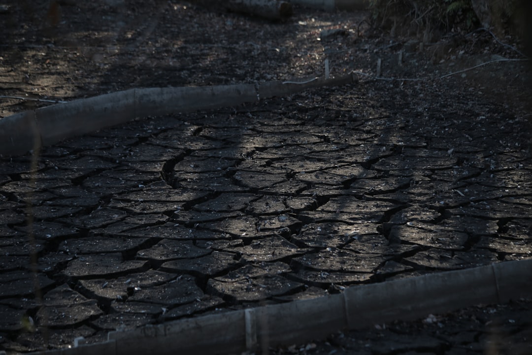 Uşak'ta Toprak Kayması ve İstinat Duvarının Çökmesi