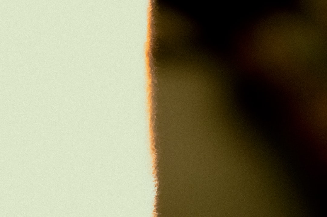 Uchenna Ogundu, Alanyaspor'dan Ayrılarak Augsburg'a Geldi