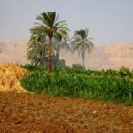 Lübnan'ın Güneyinde Fosfor Bombası Kullanımı