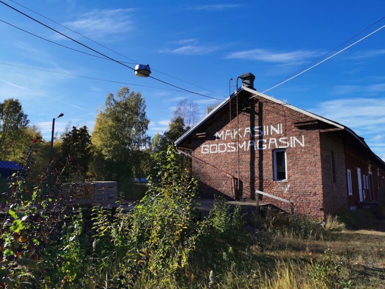 İngiltere'de 2009 Sonrası Doğanların Sigara Almasını Engelleyen Yasa