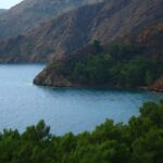 Lakers'a Kayıp: Alperen Şengün'ün "Double Double"ı Yeterli Değildi