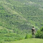 Osmanlı Döneminin Yaylı At Arabası Talikası Güzel bir Yorumla Gerçek