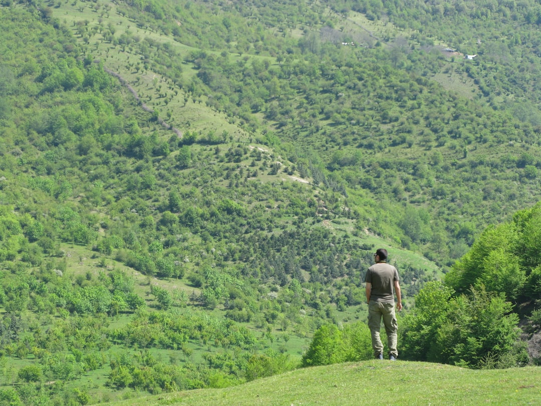 Osmanlı Döneminin Yaylı At Arabası Talikası Güzel bir Yorumla Gerçek
