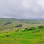 Rıza Kayaalp, 13. Kez Avrupa Şampiyonu Oldu