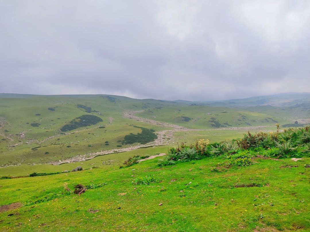 Rıza Kayaalp, 13. Kez Avrupa Şampiyonu Oldu