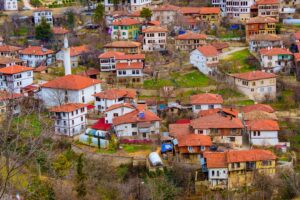Rıza Kayaalp, Avrupa Güreş Şampiyonasında Altın Madalya Kazandı
