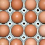 Yumurta Üreticisi "Mayıs Çukuru"nda Nefes Aldı