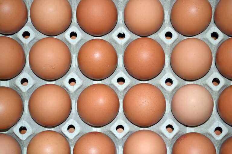 Yumurta Üreticisi "Mayıs Çukuru"nda Nefes Aldı